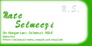 mate selmeczi business card